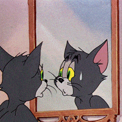 borderless-gif3